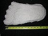 Cast of Peter Byrne's Bigfoot Track found at Bluff Creek-1960
