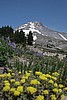 Mount Hood