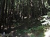 Santa Cruz County w/o Santa Cruz City