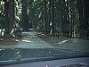 Highway 9 S/O Felton, CA