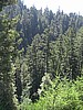 San Lorenzo River Valley
