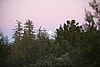 Moon, Central Sierra's