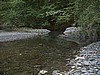 Bluff Creek