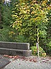 Bluff Creek Bridge