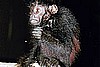 New Primate Discovery