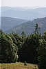 Humboldt Coastal Range