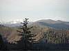 Weaverville